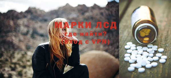 ПСИЛОЦИБИНОВЫЕ ГРИБЫ Михайлов