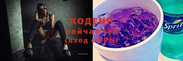 ПСИЛОЦИБИНОВЫЕ ГРИБЫ Михайлов