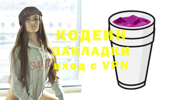 ПСИЛОЦИБИНОВЫЕ ГРИБЫ Михайлов
