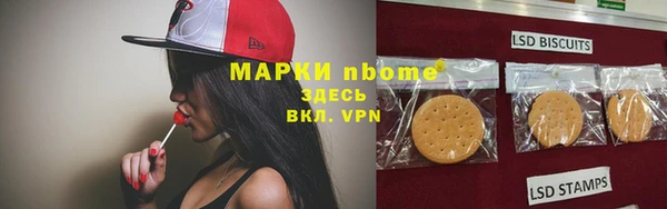 ПСИЛОЦИБИНОВЫЕ ГРИБЫ Михайлов