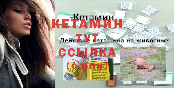 ПСИЛОЦИБИНОВЫЕ ГРИБЫ Михайлов