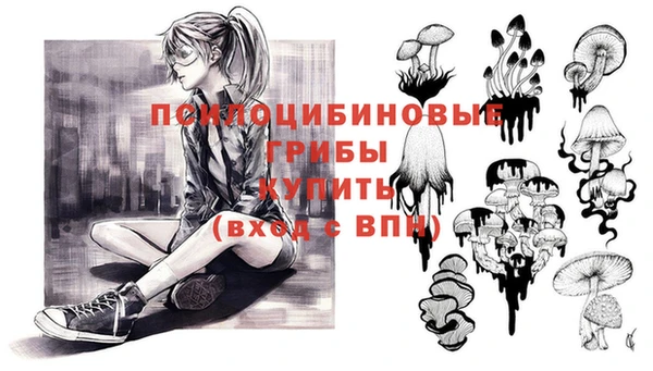 ГАЛЛЮЦИНОГЕННЫЕ ГРИБЫ Михайловск