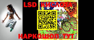 ешки Волгодонск