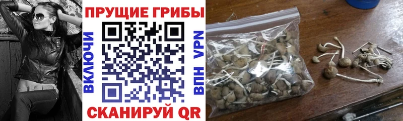 Галлюциногенные грибы Magic Shrooms  Воткинск 