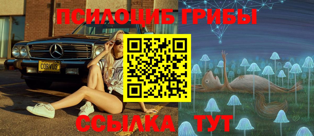 Галлюциногенные грибы Psilocybine cubensis  как найти закладки  Воткинск 