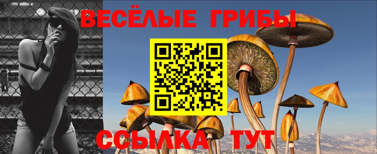 Галлюциногенные грибы прущие грибы  Вход с VPN  дарнет шоп  Воткинск  Галлюциногенные грибы Magic Shrooms 