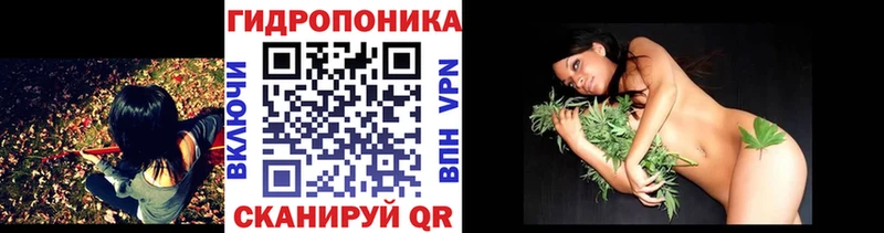 Канабис OG Kush  Воткинск 